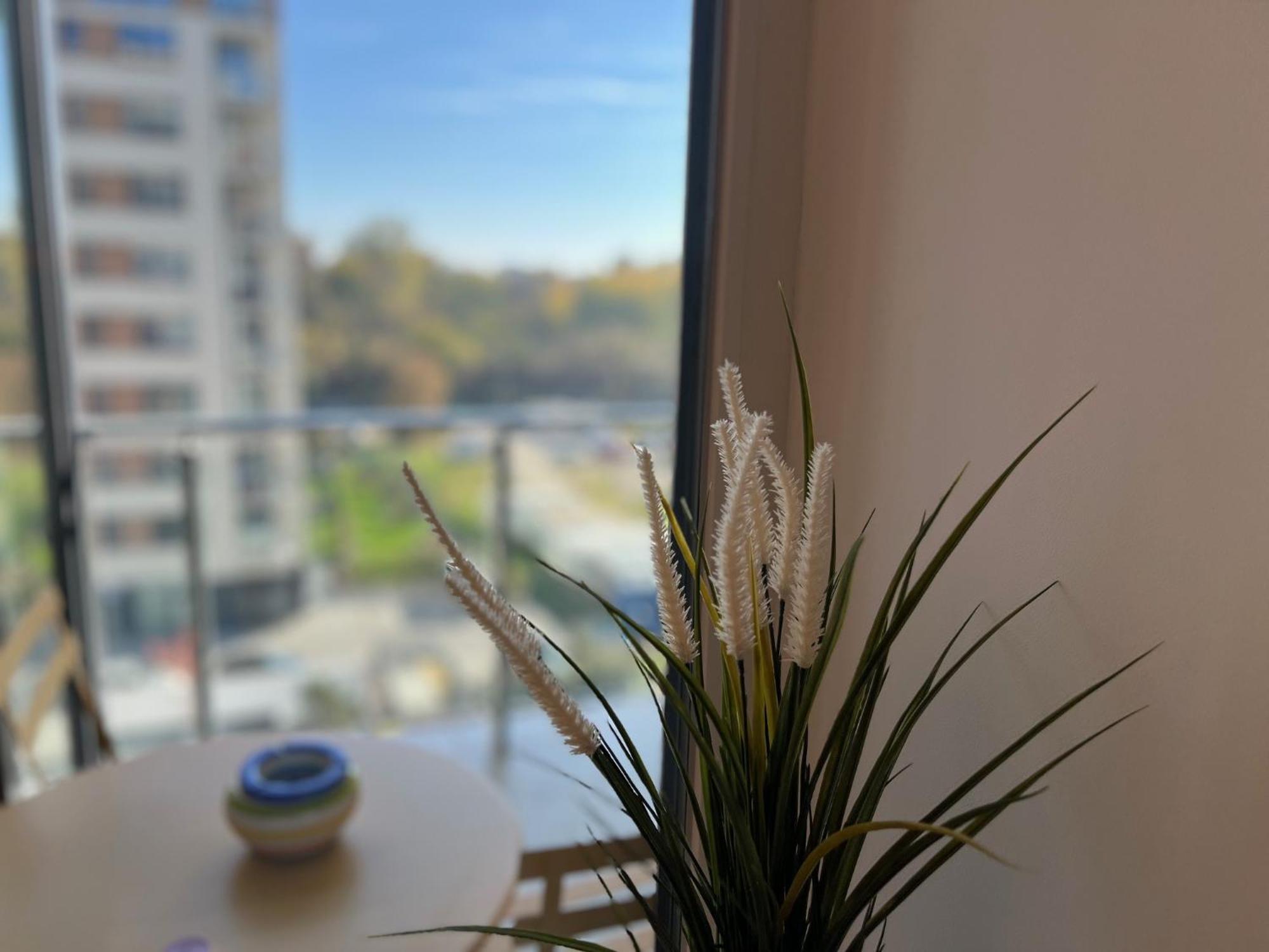 One Apartments Nordone Iulius Town Τιμισοάρα Εξωτερικό φωτογραφία